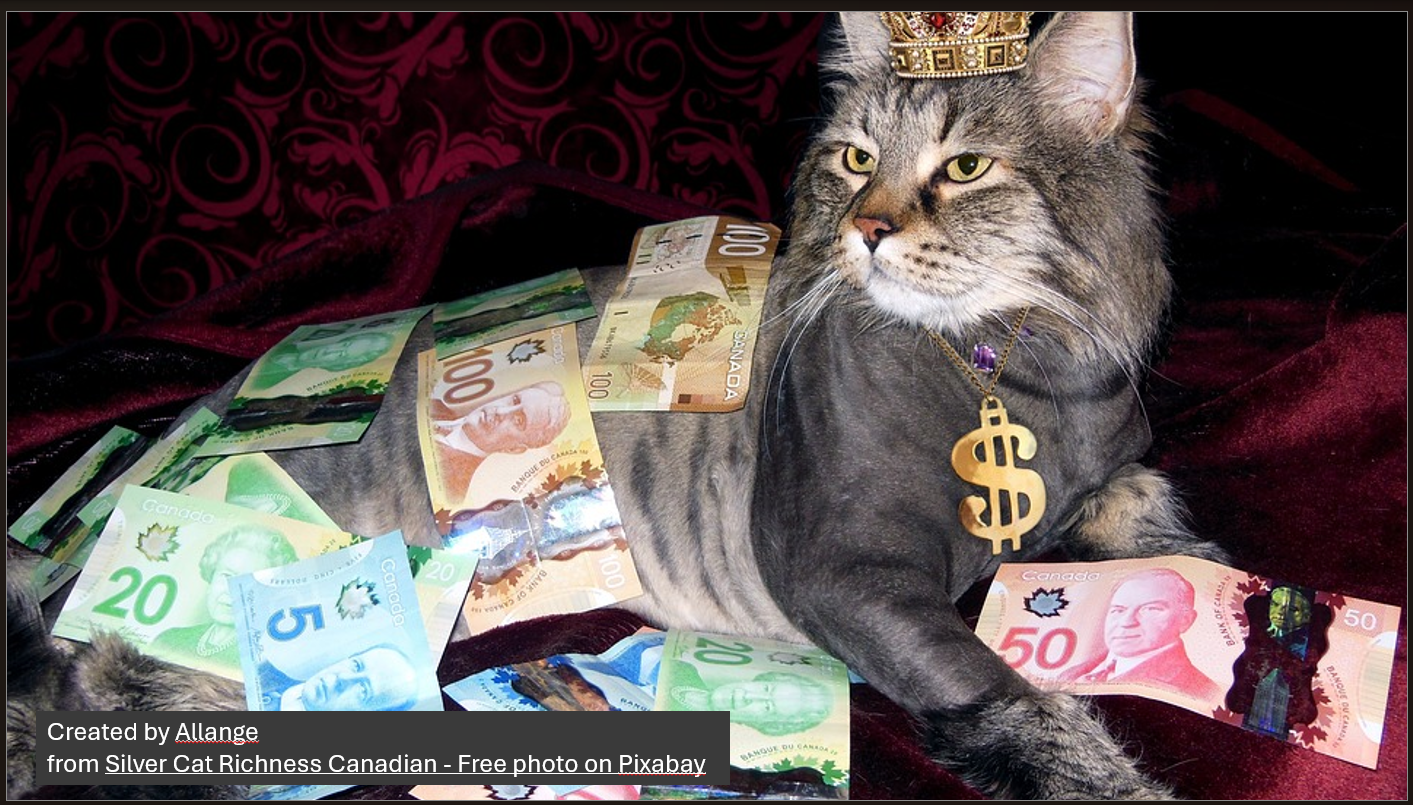 Image of cat surrounded by Canadian money