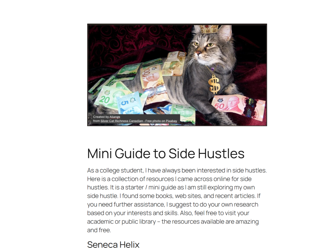 Screenshot of mini-guide to side hustles webpage. Shows an image of a cat covered with money and introduction paragraph on some resources available.
